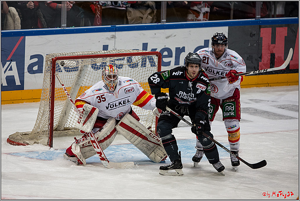 Koelner Haie - Duesseldorfer EG, 18.12.2016